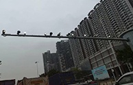 電子警察監控補光燈解決方案